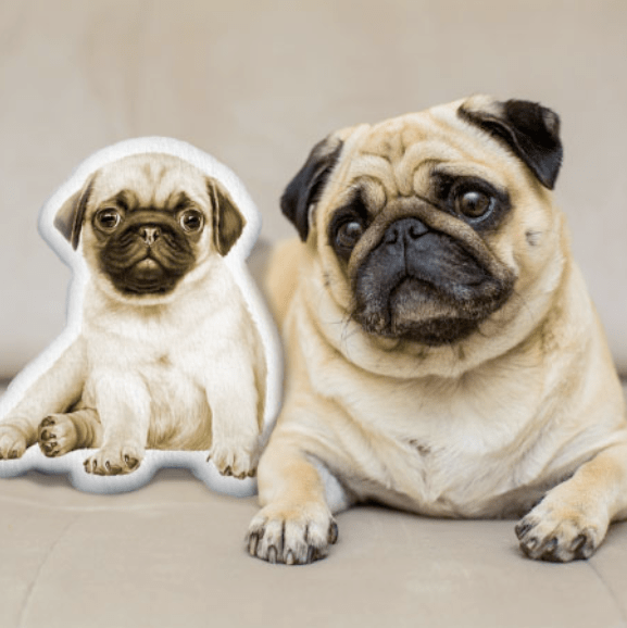 Pug shaped cushion hotsell